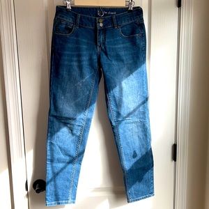 New York & Company Slim Slouch Jeans